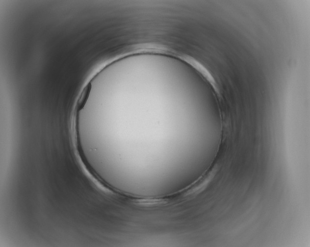 X0000111161391200907141352