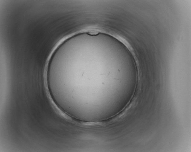 X0000111161392200907141352