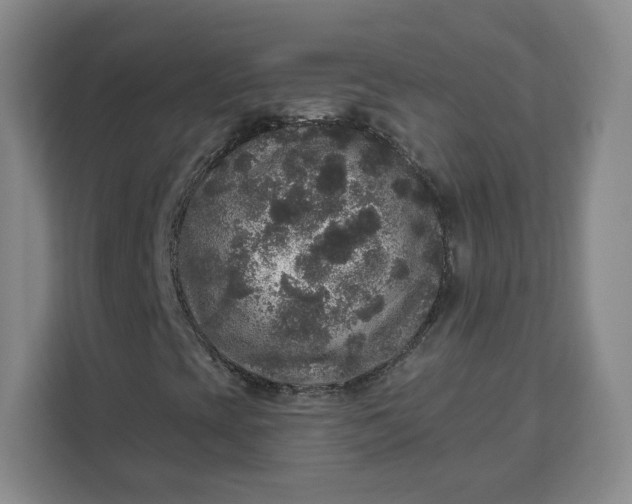 X0000111161393200907141352