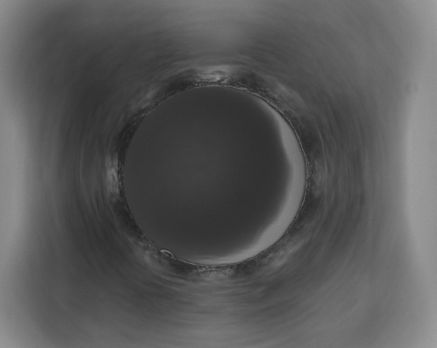 X0000111161394200907141352