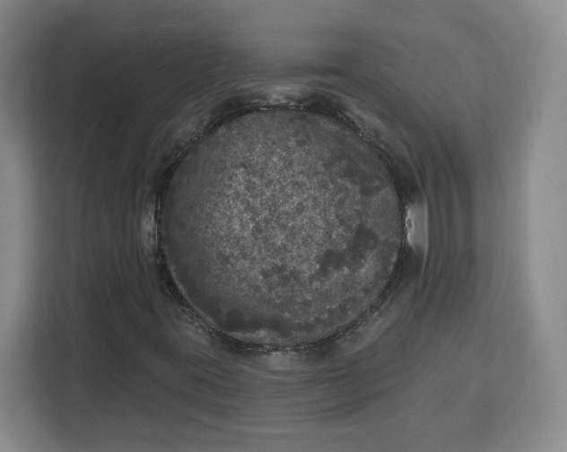 X0000111161395200907141352