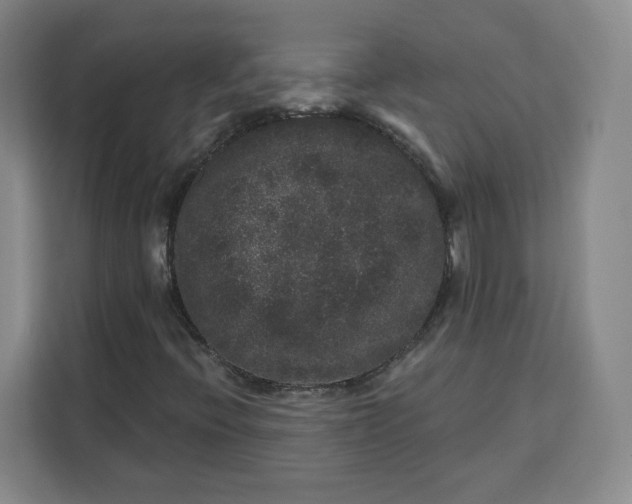 X0000111161396200907141352
