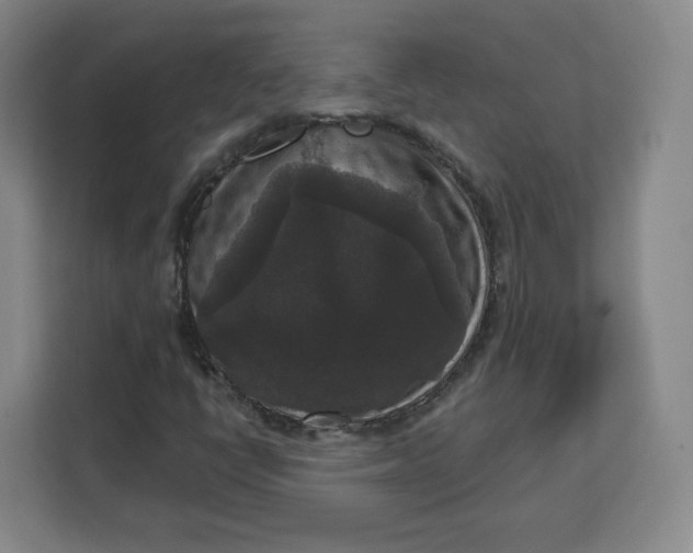 X0000111161398200907141352