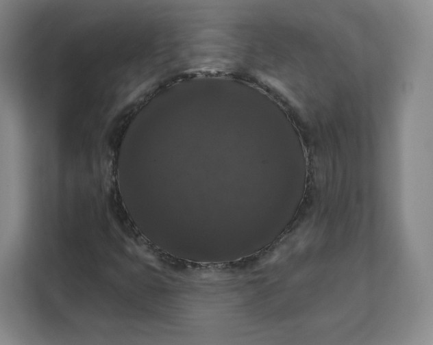X0000111161399200907141352