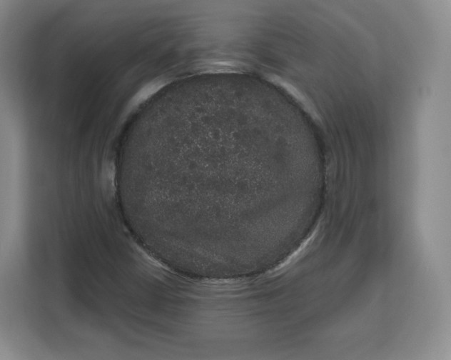X0000111161402200907141352