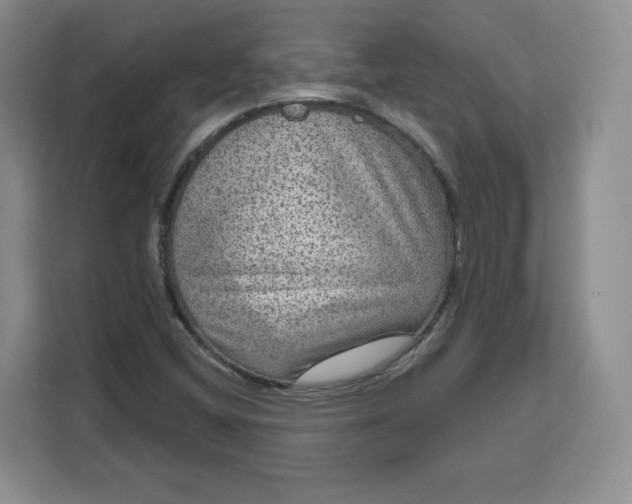 X0000111161404200907141352