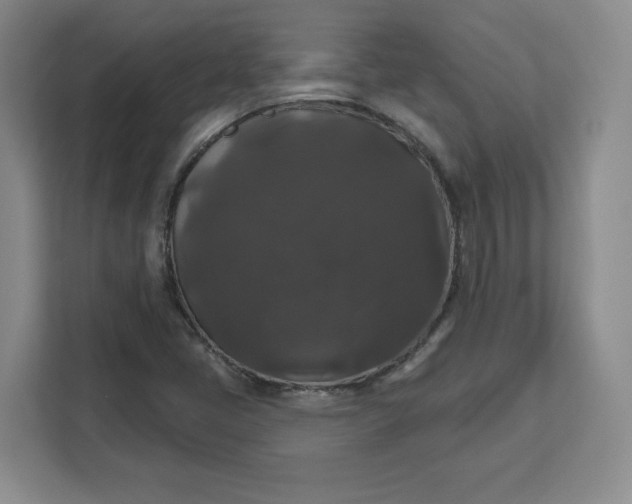 X0000111161405200907141352