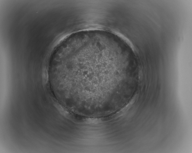 X0000111161407200907141352