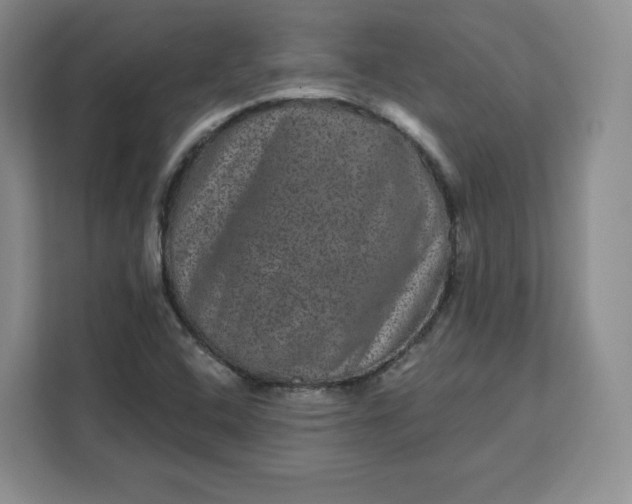 X0000111161408200907141352