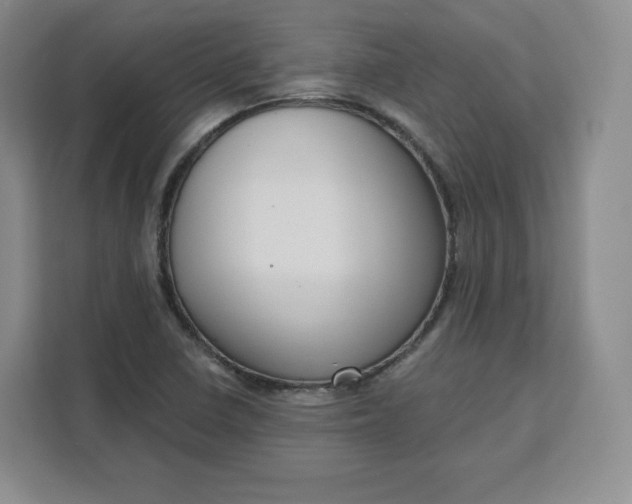 X0000111161410200907141352