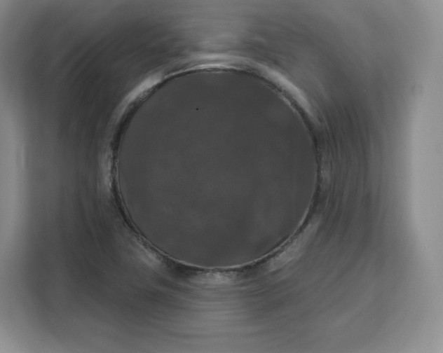 X0000111161411200907141352