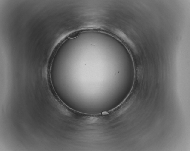 X0000111161412200907141352