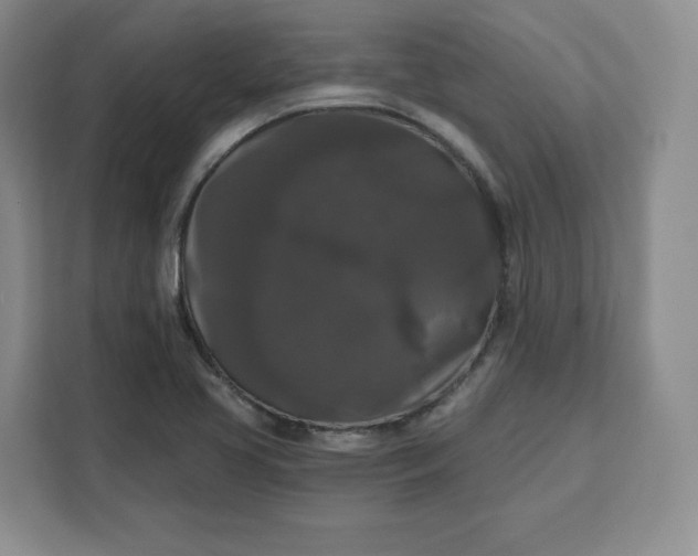 X0000111161413200907141352