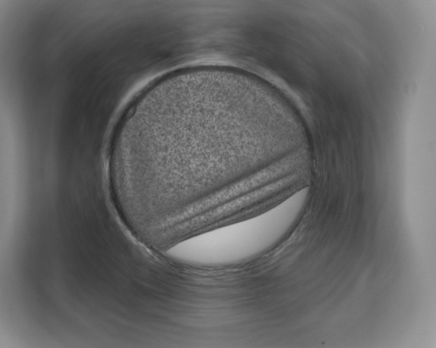 X0000111161416200907141352