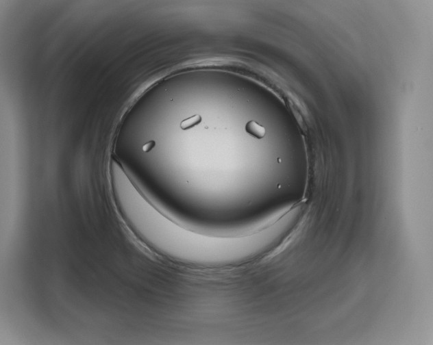 X0000111161417200907141352