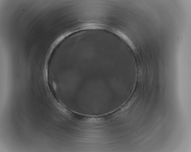 X0000111161419200907141352