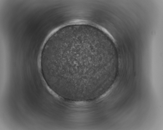 X0000111161421200907141352