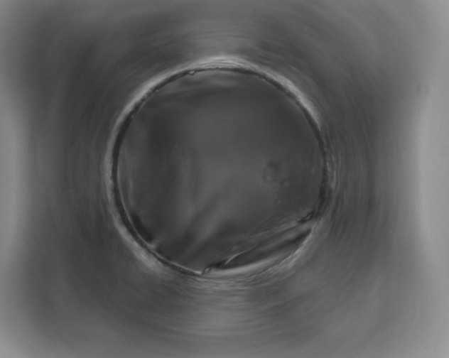 X0000111161422200907141352