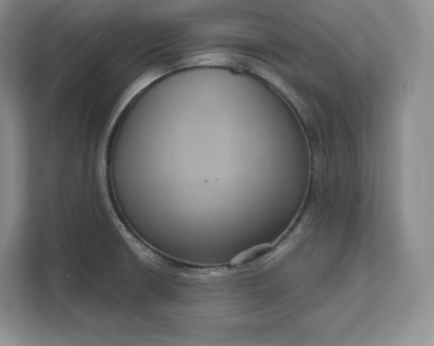 X0000111161426200907141352
