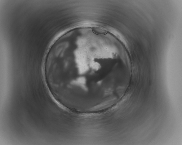 X0000111161429200907141352