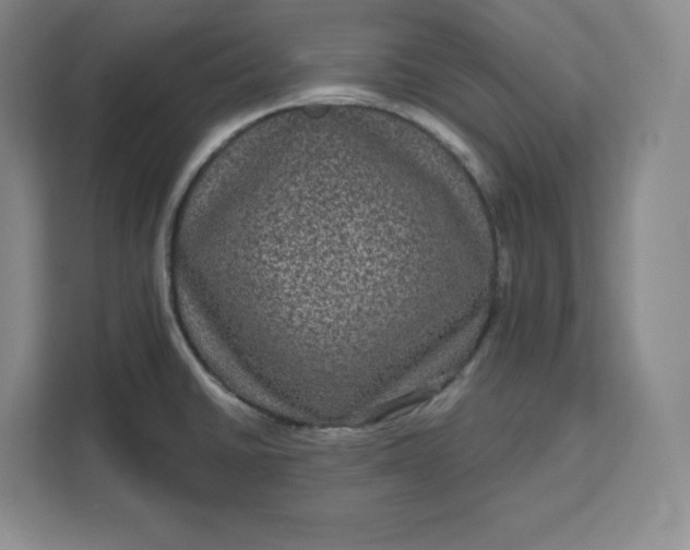 X0000111161430200907141352