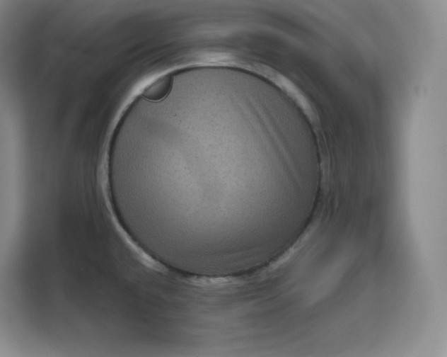 X0000111161432200907141352