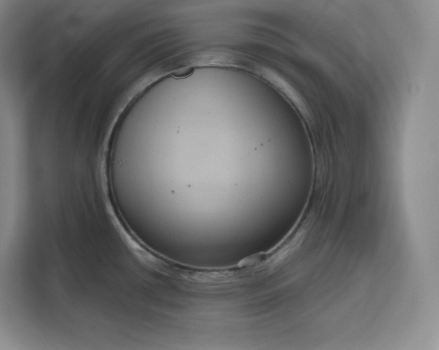 X0000111161434200907141352
