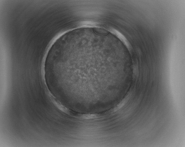 X0000111161435200907141352
