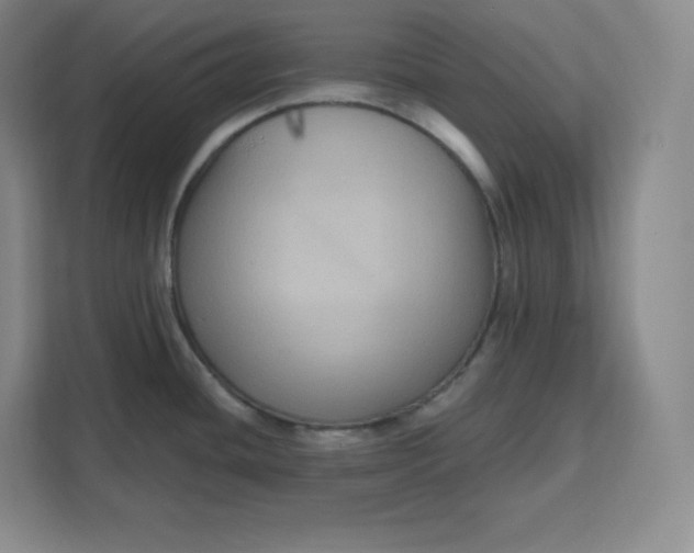 X0000111161436200907141352