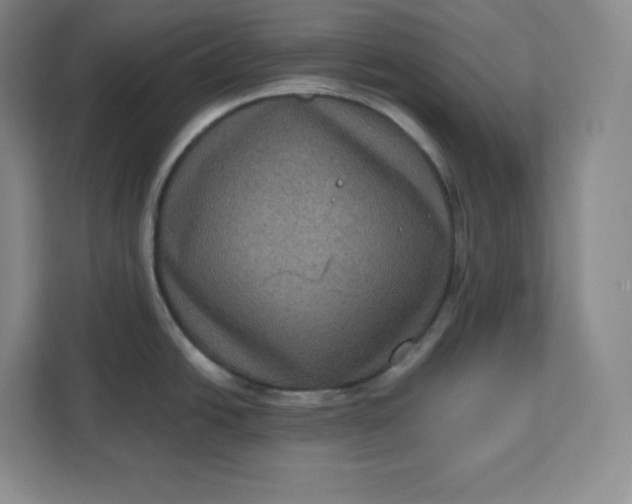 X0000111161438200907141352