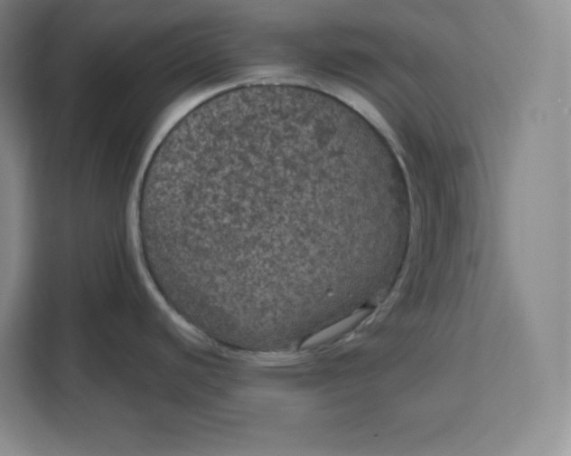 X0000111161440200907141352