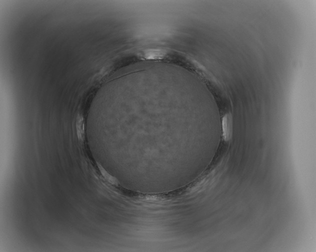 X0000111161443200907141352
