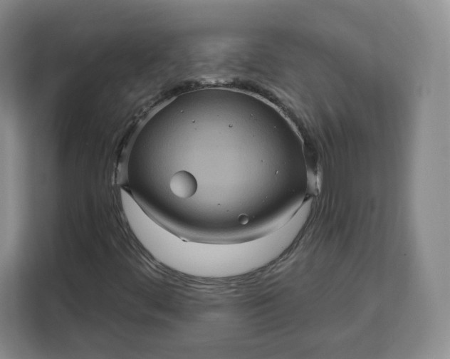 X0000111161444200907141352