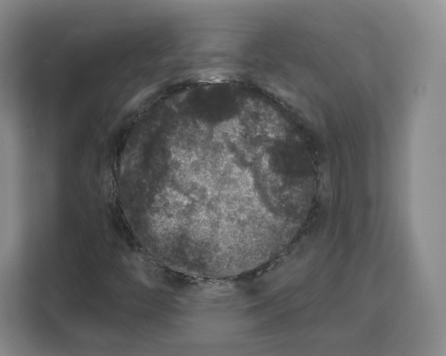 X0000111161446200907141352