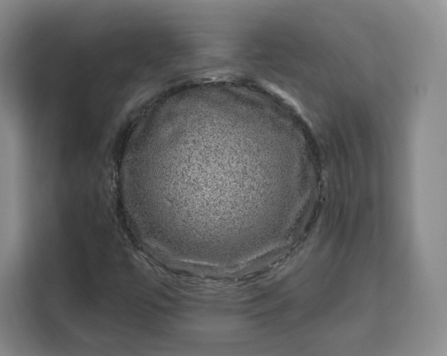 X0000111161447200907141352