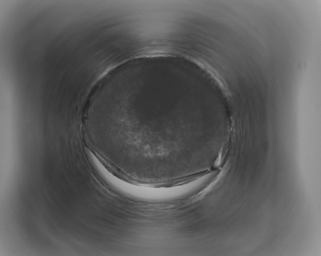 X0000111161449200907141352