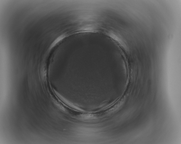 X0000111161450200907141352