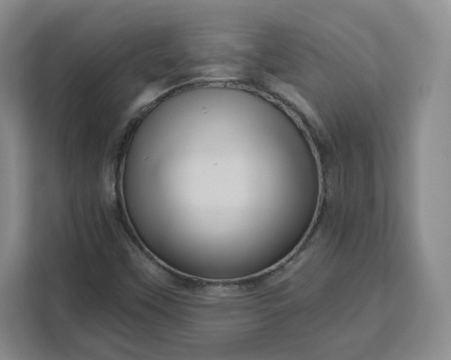X0000111161451200907141352