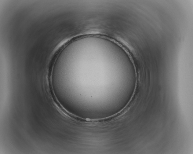 X0000111161452200907141352