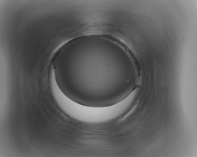 X0000111161453200907141352