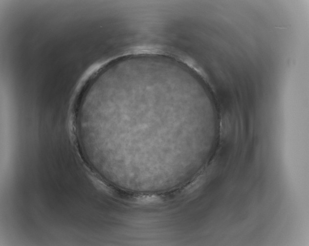 X0000111161454200907141352