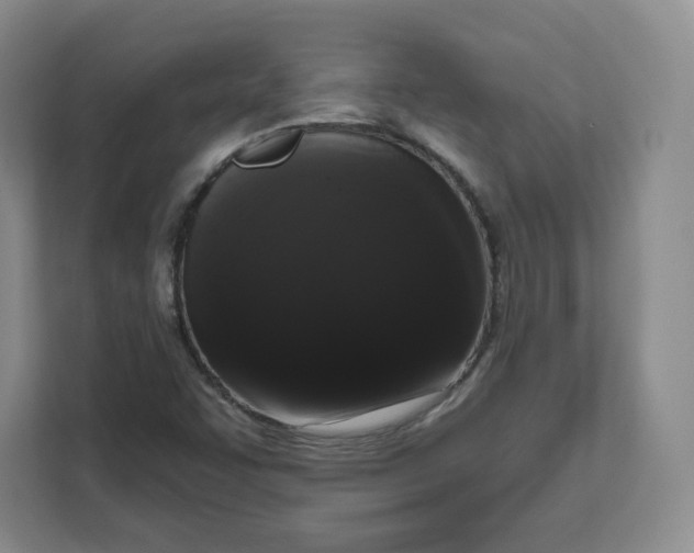 X0000111161455200907141352