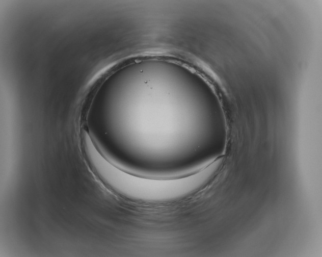 X0000111161456200907141352