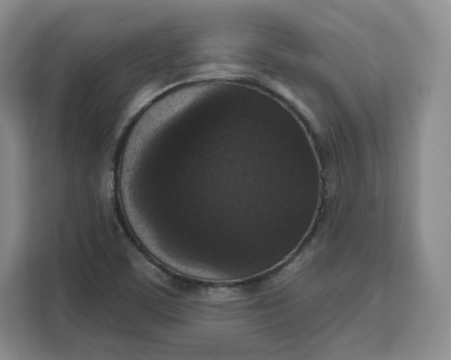 X0000111161459200907141352