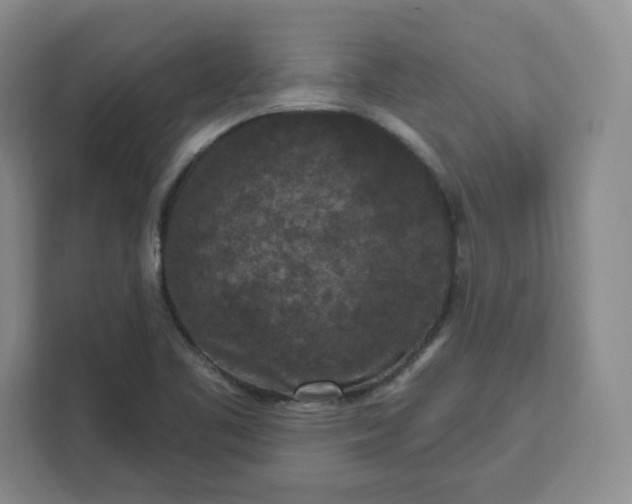 X0000111161461200907141352
