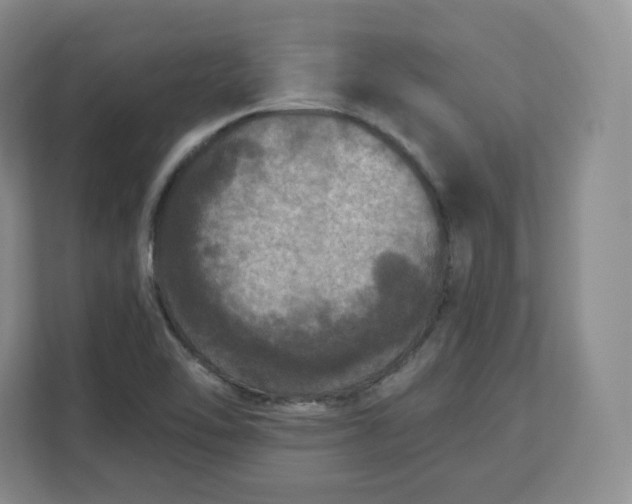 X0000111161462200907141352