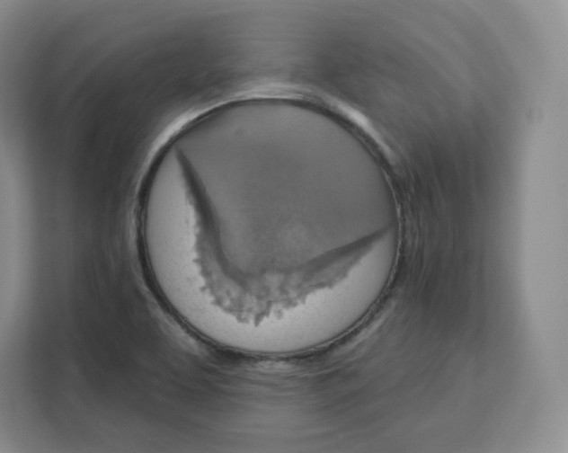 X0000111161463200907141352