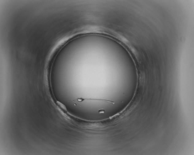 X0000111161464200907141352