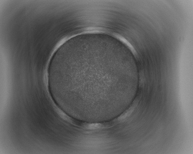 X0000111161467200907141351