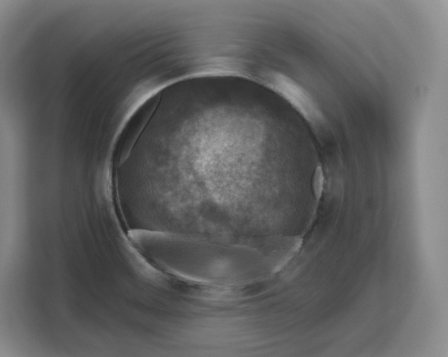 X0000111161468200907141351